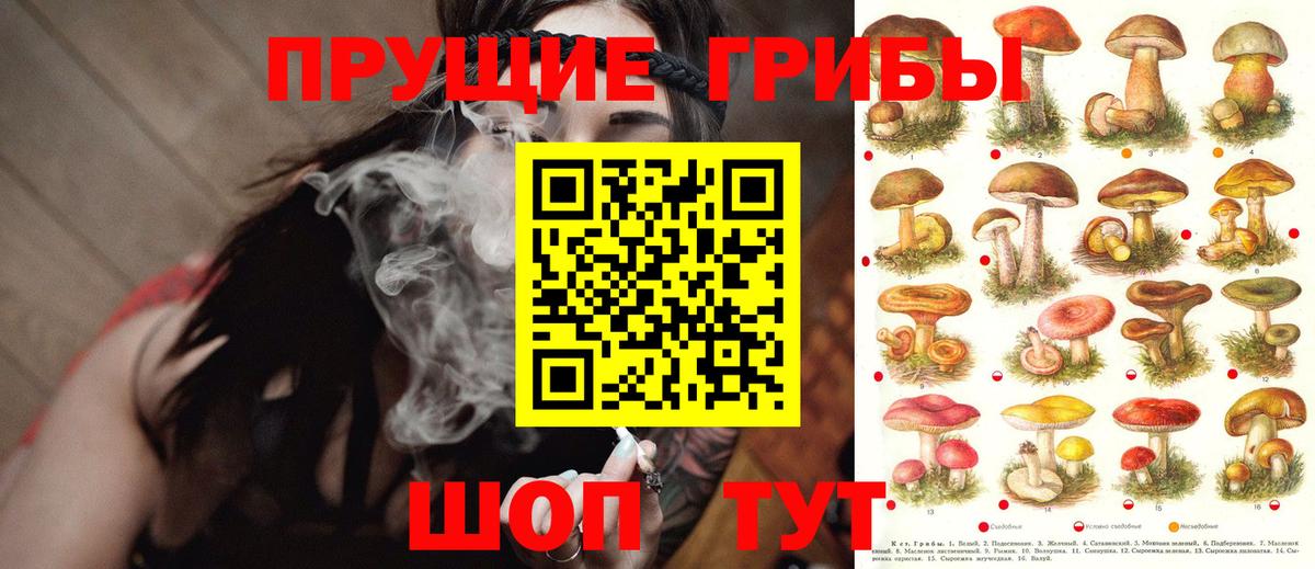 Пугачёв  Галлюциногенные грибы ЛСД  Вход с VPN 